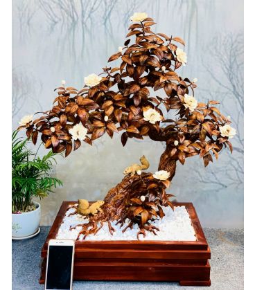 Tiểu Cảnh Đẹp - Cây Gỗ Sưa Đỏ Kết Hợp Hoa Ngà Tinh Tế