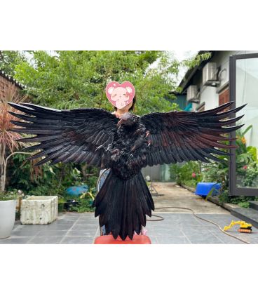 Tượng Đại Bàng Tung Cánh Treo Tường Gỗ Trắc Đỏ Đen Ngang 170