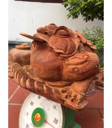 Thiềm Thừ Gai Sần - Cóc Vàng Trấn Lu Tiền