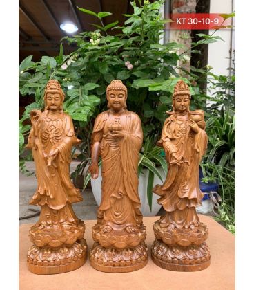 Tượng Tây Phương Tam Thánh Phật Đứng Đài Sen - Gỗ Bách Cao 30