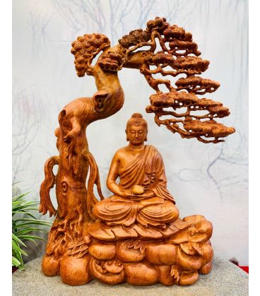 Phật Bổn Sư Ngồi Thiền Dưới Tán Tùng